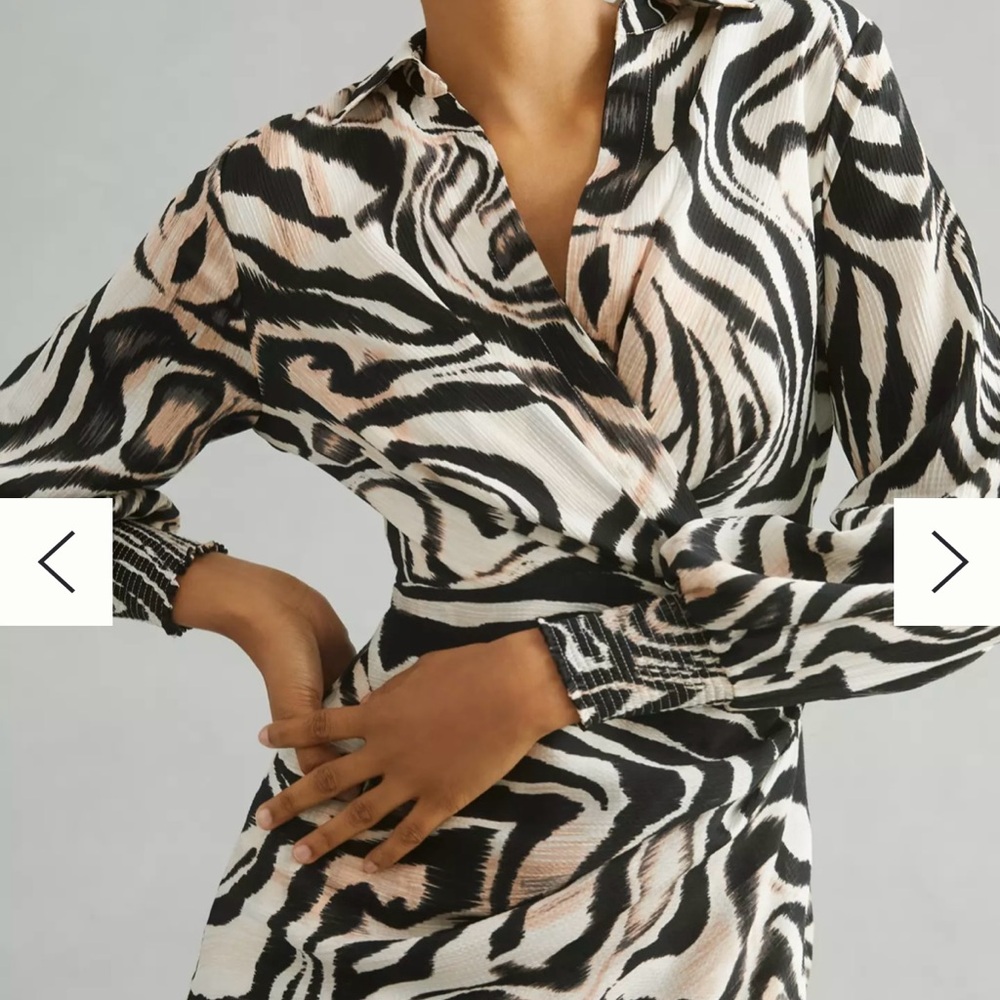 Anthropology Chic Zebra Print mini Dress size large - Picture 2 of 6